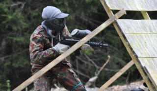  绿意盎然的田野 